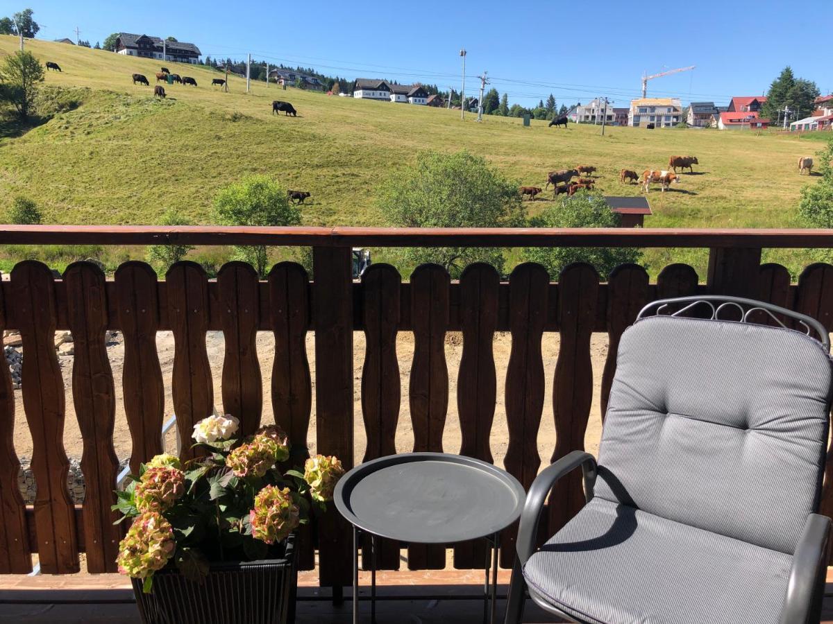 Strunzova Pila - Apartmany S Wellness 2,06 A 3,03 Kvilda Exterior photo